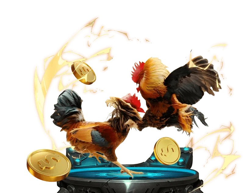 Sự kiện đặc biệt và giải đấu Zowin