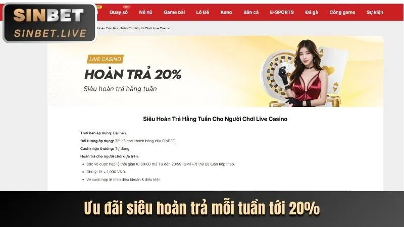 Hướng dẫn quy trình đặt cược tại Zowin